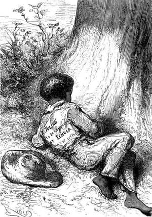 Un niño indígena dormía pacíficamente a la sombra de un magnífico banksie